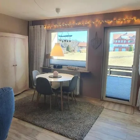 Neu! Fewo Harzgeiss Mit Sauna Und Balkon Hohegeiß