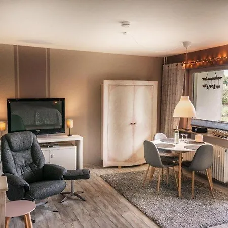 Neu! Fewo Harzgeiss Mit Sauna Und Balkon Hohegeiß