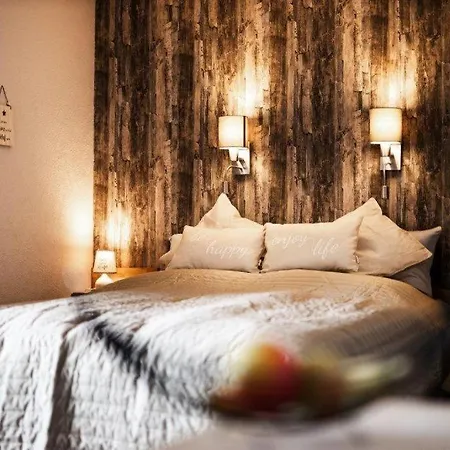 Neu! Fewo Harzgeiss Mit Sauna Und Balkon Apartment Hohegeiß