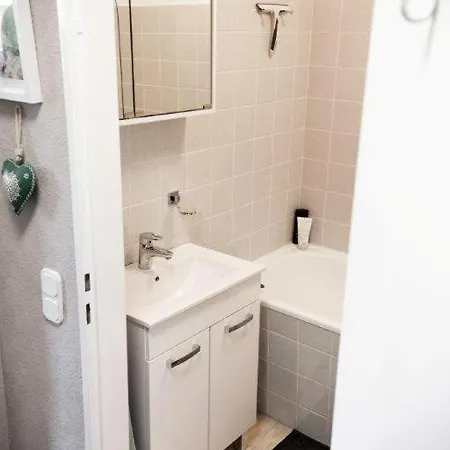 Apartment Neu! Fewo Harzgeiss Mit Sauna Und Balkon