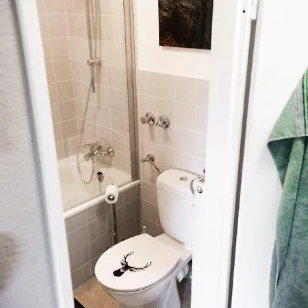 Neu! Fewo Harzgeiss Mit Sauna Und Balkon Hohegeiß