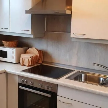 Apartment Neu! Fewo Harzgeiss Mit Sauna Und Balkon