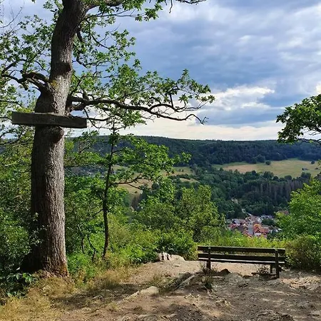 Neu! Fewo Harzgeiss Mit Sauna Und Balkon * Hohegeiß