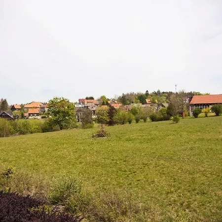 Neu! Fewo Harzgeiss Mit Sauna Und Balkon Hohegeiß